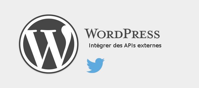 Tuto Mieux communiquer avec des APIs externes depuis WordPress WordPress