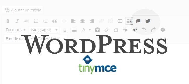 Tuto Maîtriser l'éditeur visuel tinyMCE dans WordPress WordPress