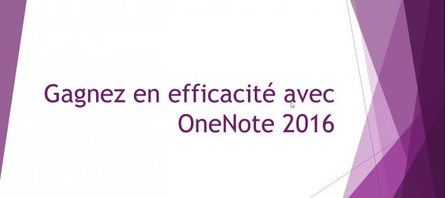 Tuto Gagnez en efficacité avec OneNote 2016 OneNote