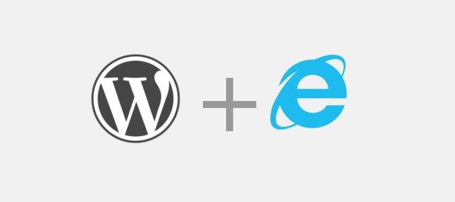 Ajouter des scripts et des styles pour Internet Explorer dans WordPress